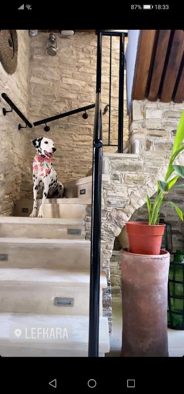 Fotografie z fotogalerie ubytování Lazaros Stonehouse v destinaci Pano Lefkara