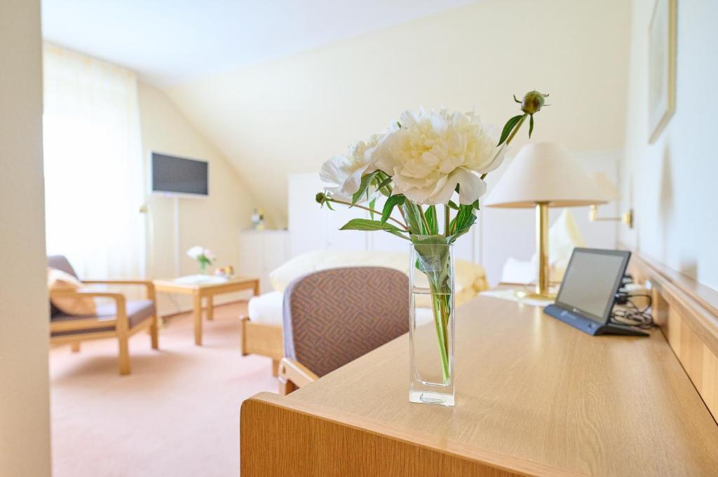 TV a/nebo společenská místnost v ubytování Hotel Morgensonne