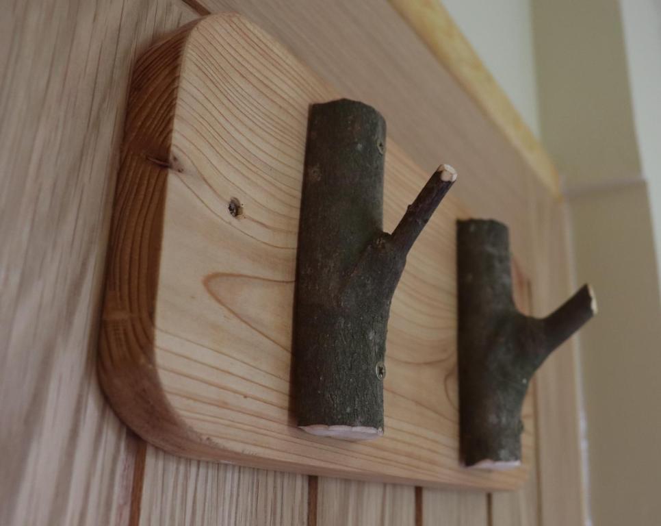 South Downs Eco Lodge & Camping