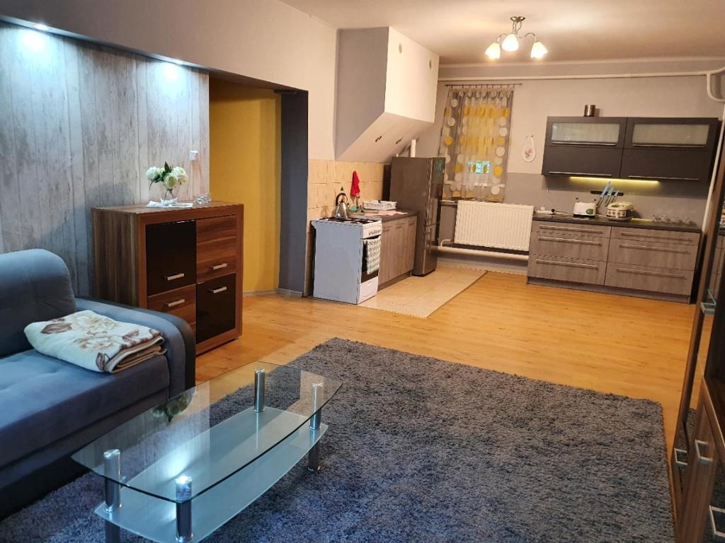 a living room with a couch and a kitchen at Apartament u Ani in Przeczyce
