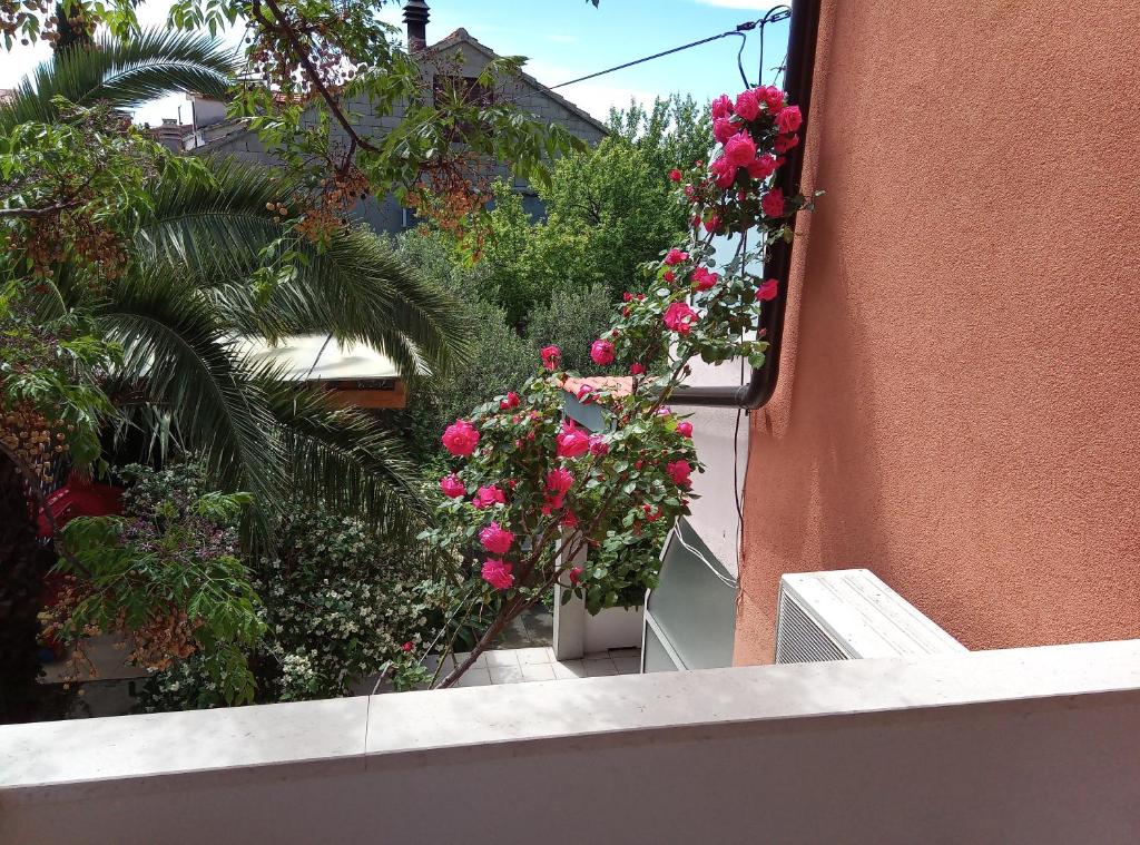 a bunch of pink flowers hanging from a building at Apartments Laura in Hvar