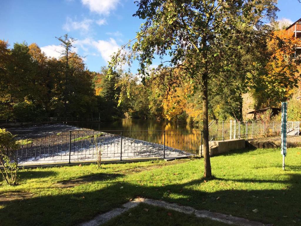 a fence next to a body of water with a tree at Auf der Zschopau-Insel in Zschopau