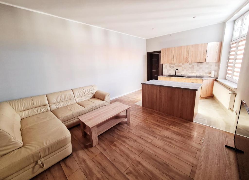 sala de estar con sofá y cocina en Ines Apartament en Ostrów Wielkopolski