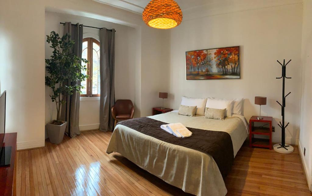1 dormitorio con 1 cama grande en una habitación en Hotel De Blasis, en Santiago