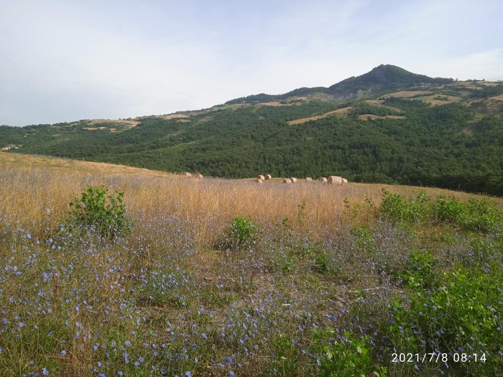 Fotografia z galérie ubytovania Due Principi e una Fata v destinácii Sestola