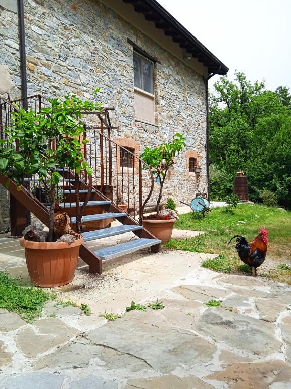 Fotografia z galérie ubytovania Due Principi e una Fata v destinácii Sestola