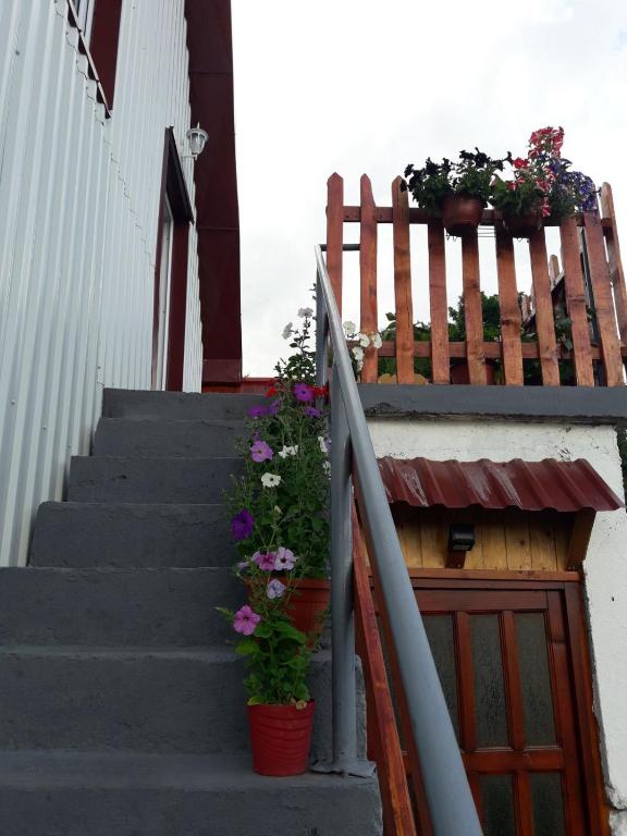 Domaćinstvo Krstajić - Rural holiday - 9