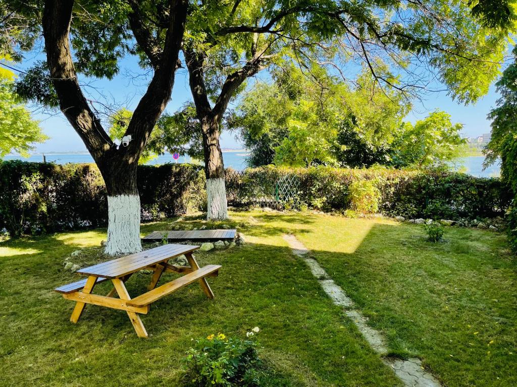 ein Picknicktisch im Gras neben einem Baum in der Unterkunft Vila Minerva langa plaja in Techirghiol