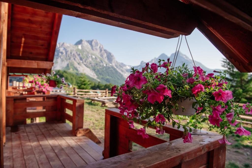 Komovi - Kobil Do Guesthouse - 12