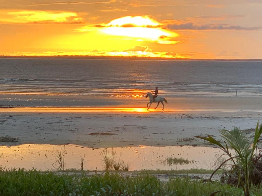 a person riding a horse on the beach at sunset at FlowMove Retreat Algodoal in Algodoal