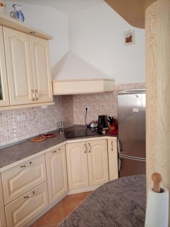 Kuchyň nebo kuchyňský kout v ubytování Apartma Barižoni