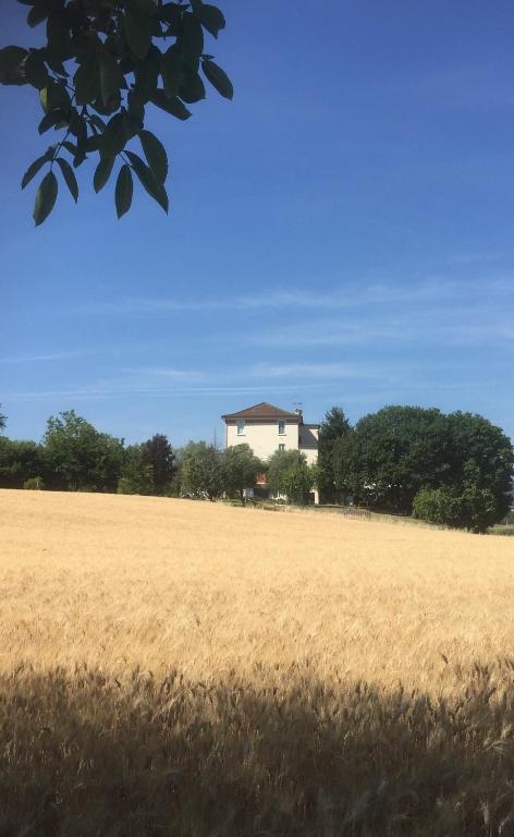 Kép Verdeazzurro di CASADOLCIMARCHE szállásáról Montalto delle Marchéban a galériában