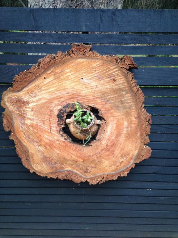 a hole in a tree stump in a log at Salt Spring Carriage House B&B in Ganges