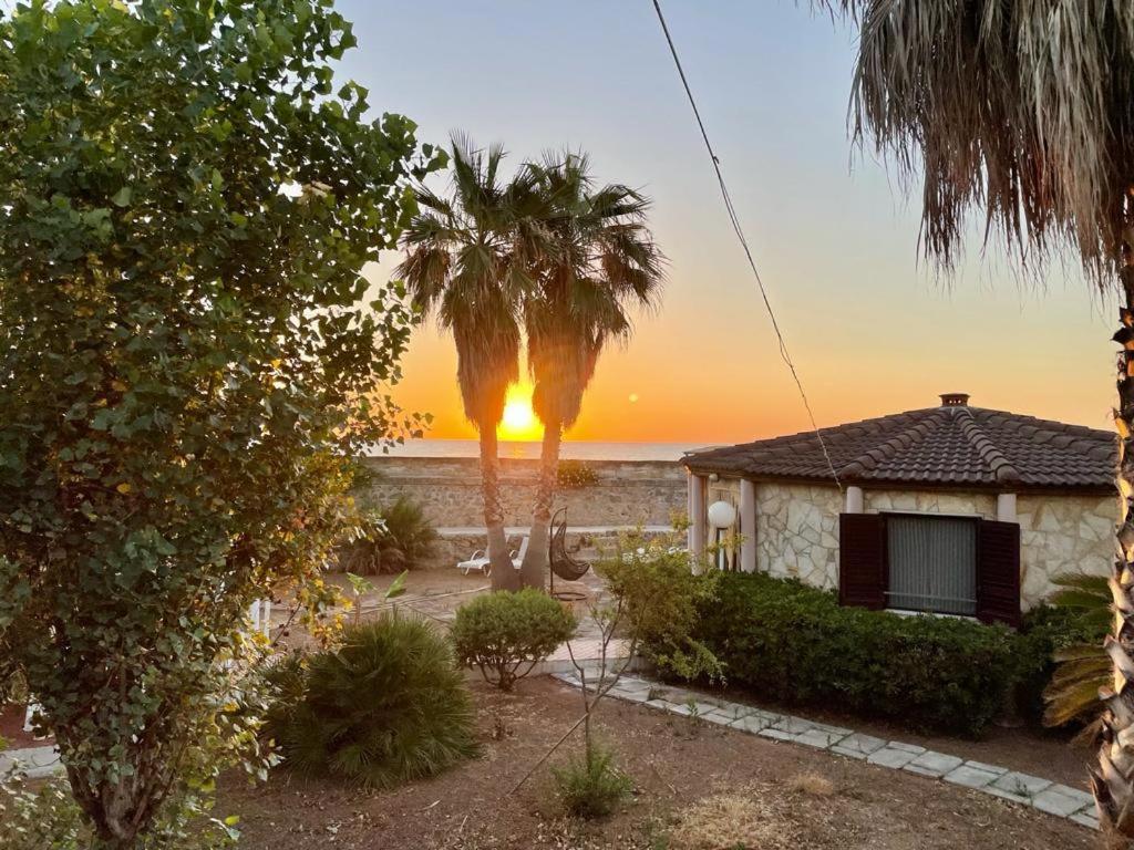 a house with a palm tree and the sunset at Ville Alba & Azzurra in Polignano a Mare