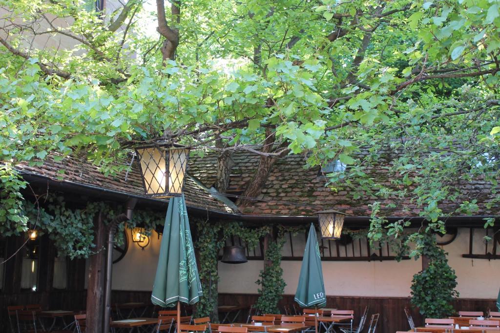 Zahrada ubytování Hotel Petzengarten