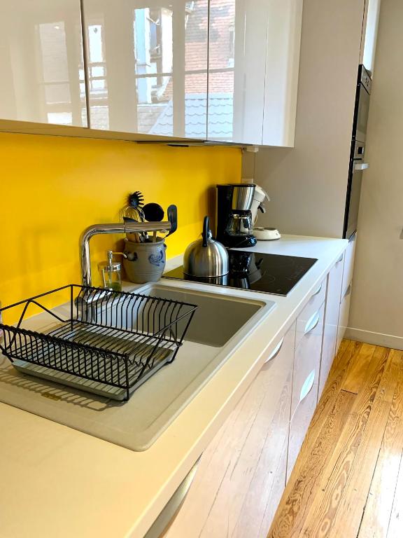 a kitchen with a sink and a dish drying rack at Appartement Hyper-centre Colmar in Colmar