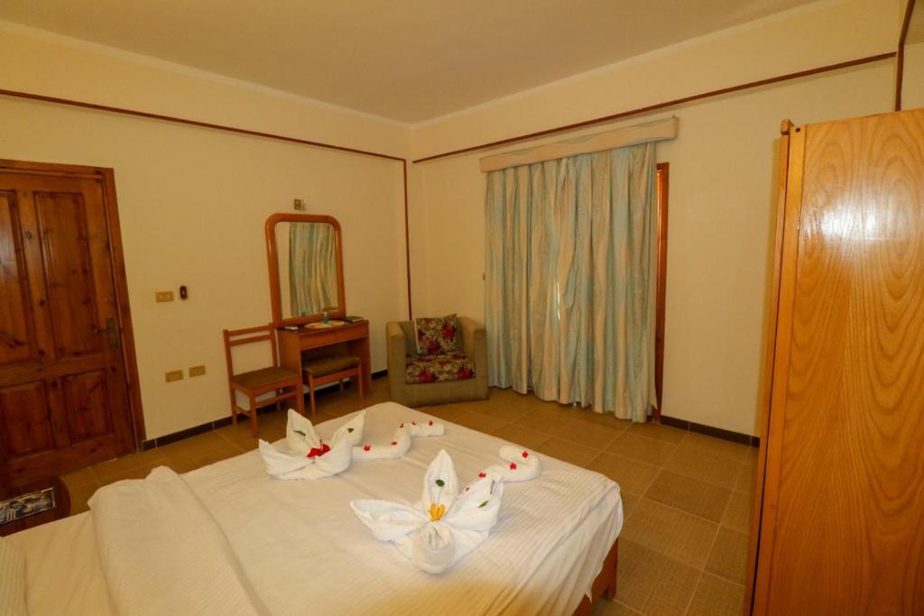 Fotografie z fotogalerie ubytování Acacia Dahab Hotel v destinaci Dahab
