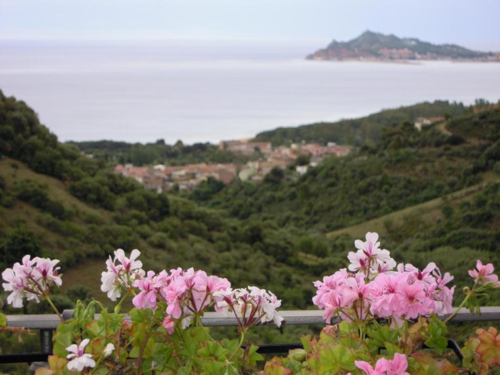 un ramo de flores rosas frente a una montaña en Appartamenti Con Vista Panoramica en Santa Maria Navarrese