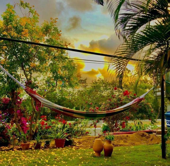 ジョアンペソアにあるPousada das Redesの花植物庭園のハンモック