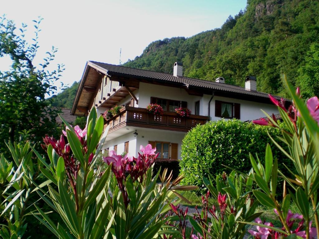 a house with flowers in front of a mountain at Schiedhof in Castelrotto