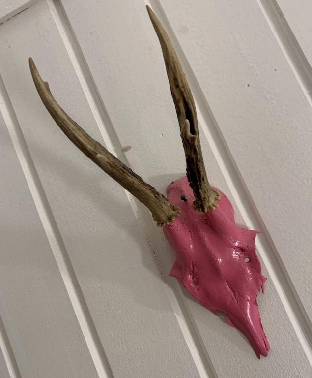 Fotografie z fotogalerie ubytování PinkDeer v destinaci Hallstatt