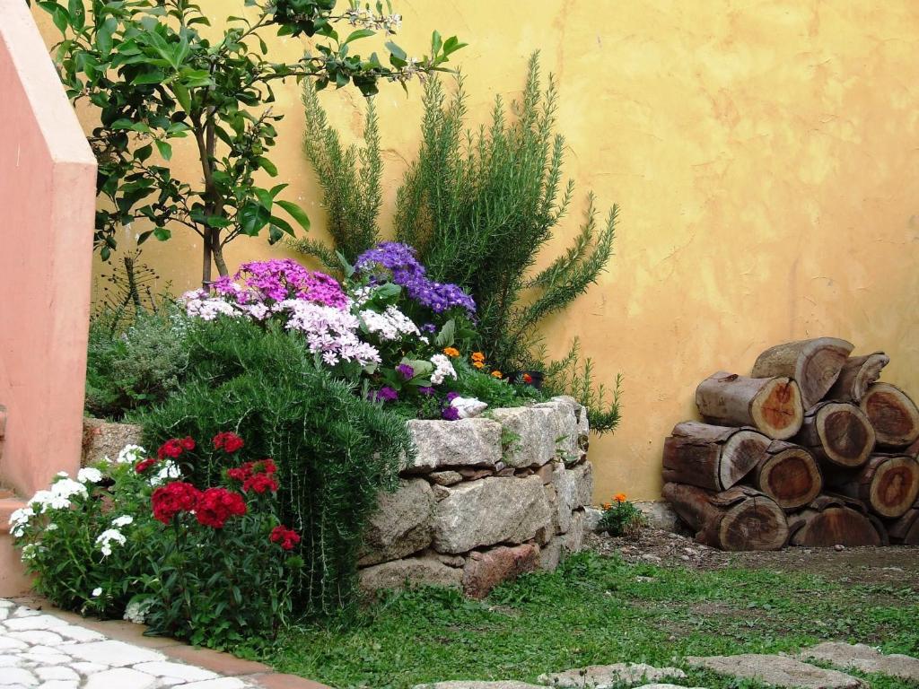 Zahrada ubytování B&B Sa Specula IUN E4404