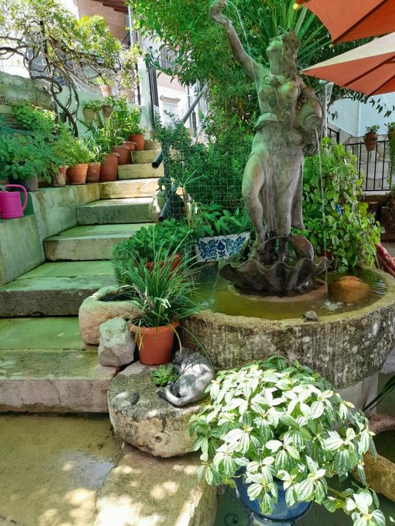 een standbeeld van een vrouw in een tuin met planten bij Casa Paco in El Bosque