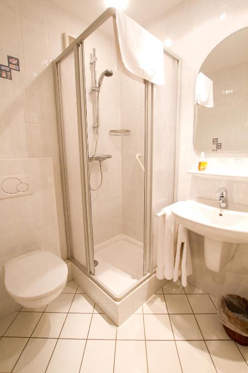 a bathroom with a shower and a toilet and a sink at Hotel Auberge Rustique in Beaufort