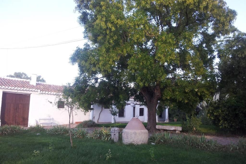 Casa El Carmen, Ciudad Real - Harga Terbaru 2022