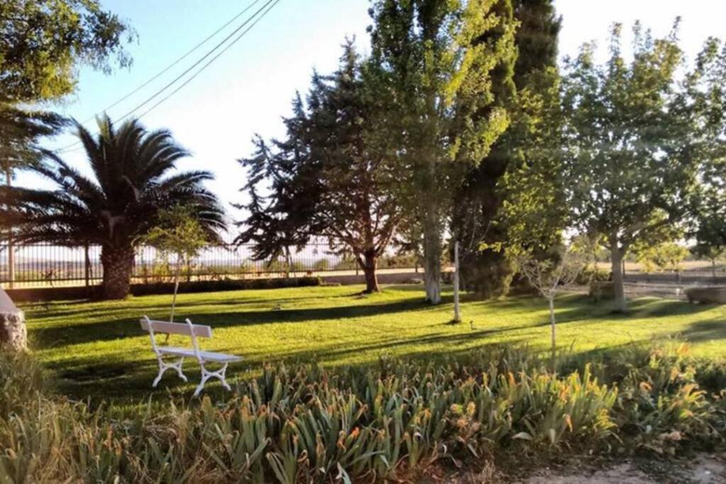 Zahrada ubytování Casa El Carmen