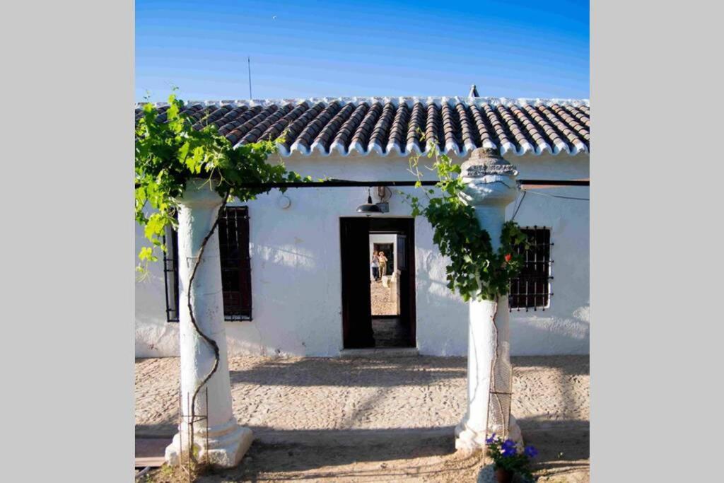 Casa El Carmen, Ciudad Real - Harga Terbaru 2022