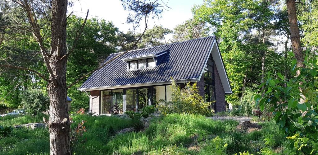 een huis in het bos met een dak bij Vakantiehuis met hottub en barrelsauna in Ommen