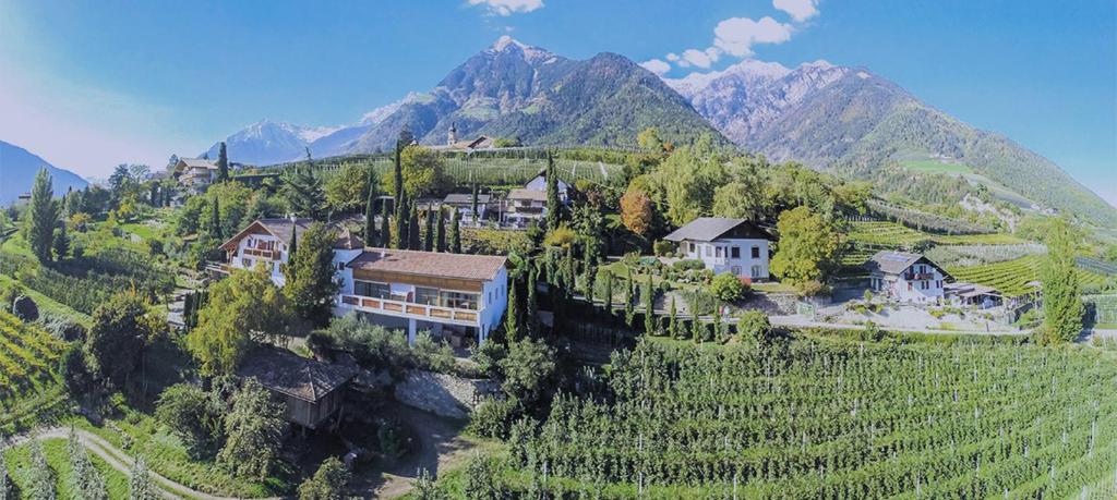 dom na szczycie wzgórza z winnicami w obiekcie Zagler Appartments w mieście Tirolo