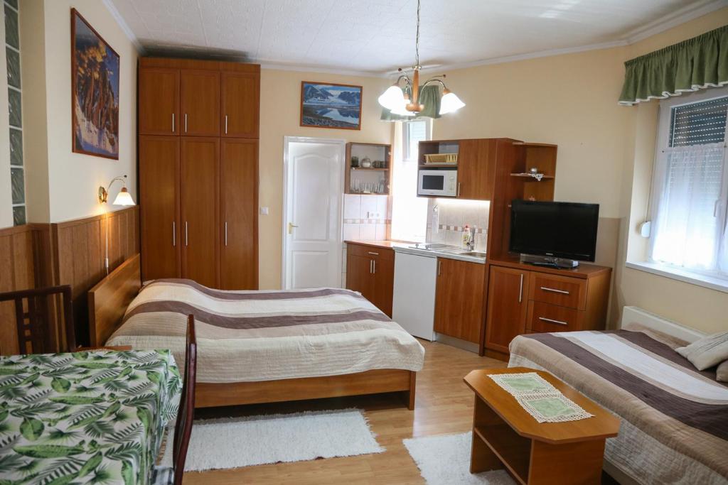 Televízia a/alebo spoločenská miestnosť v ubytovaní Molnár Apartment