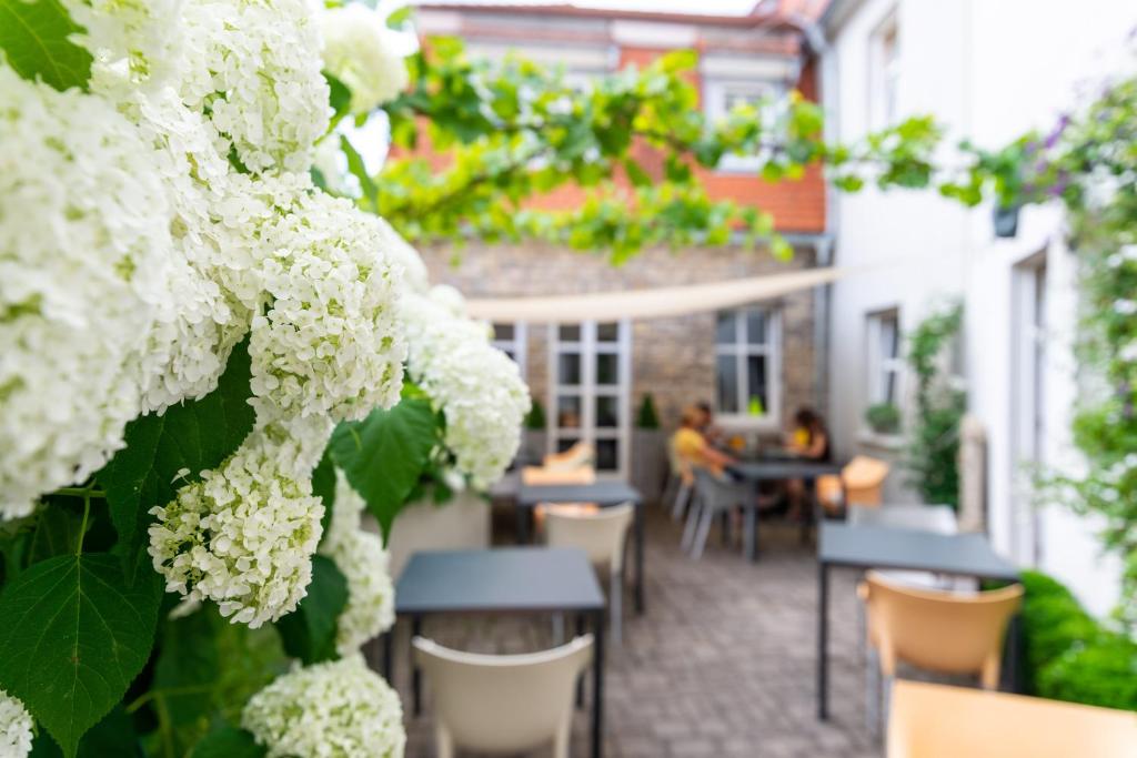 Zahrada ubytování Hotel am Torturm