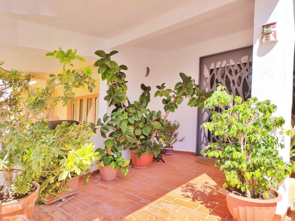 Zahrada ubytování Villa Cala Pi Family