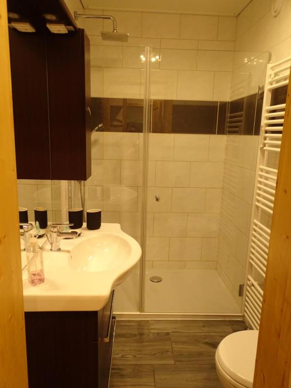 A bathroom at Appartementhaus Hochkönig 1 - Alpenrose
