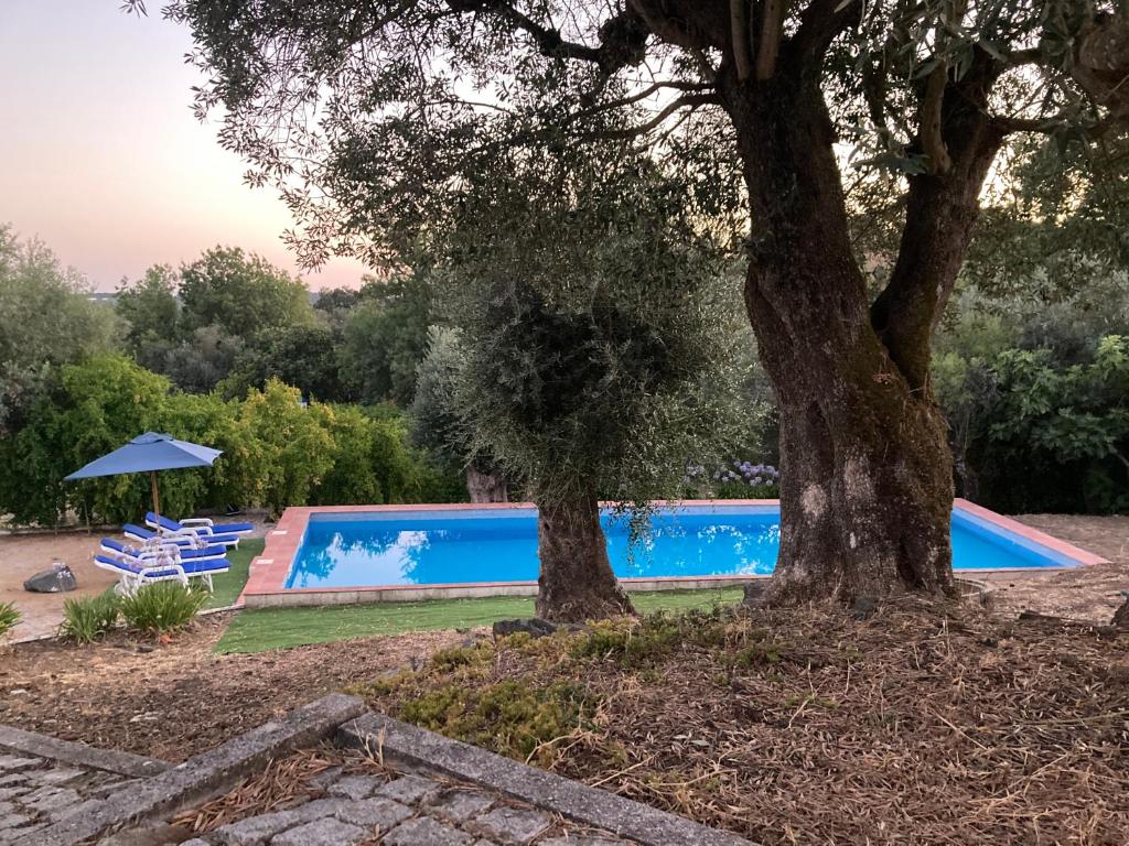 Monte da Fonte - piscina, tenis e snooker no Alentejo - Villa Met Een Privézwembad