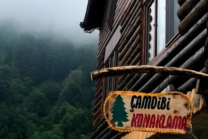 a sign on the side of a building with a tree on it at Çamdibi Konaklama in Rize