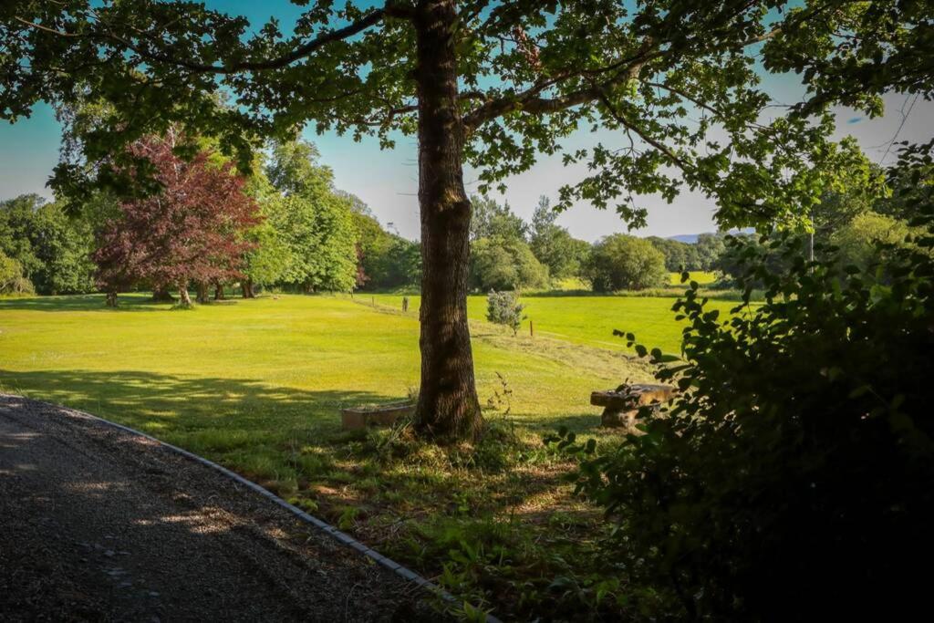 a park with a tree and a grass field at 5* Self Catering in Nenagh