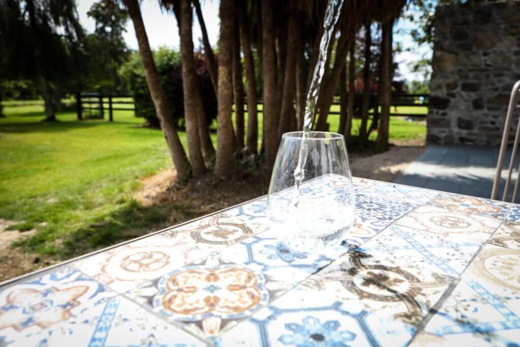 Zahrada ubytování 5* Self Catering