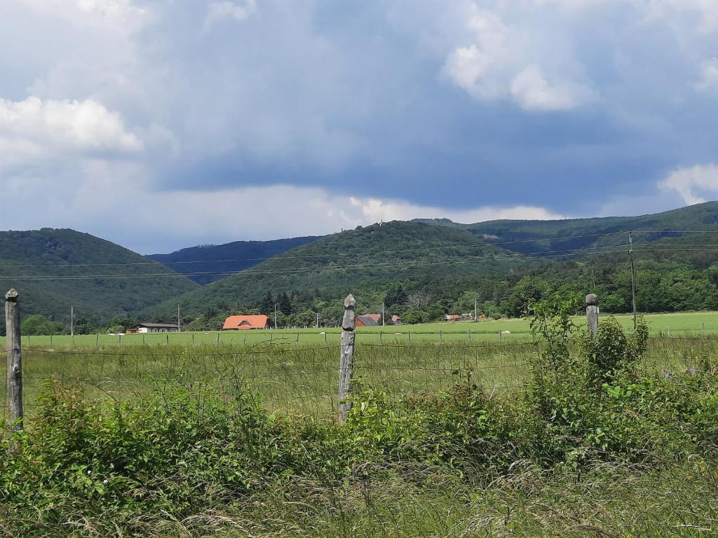 Příroda nedaleko penzionu