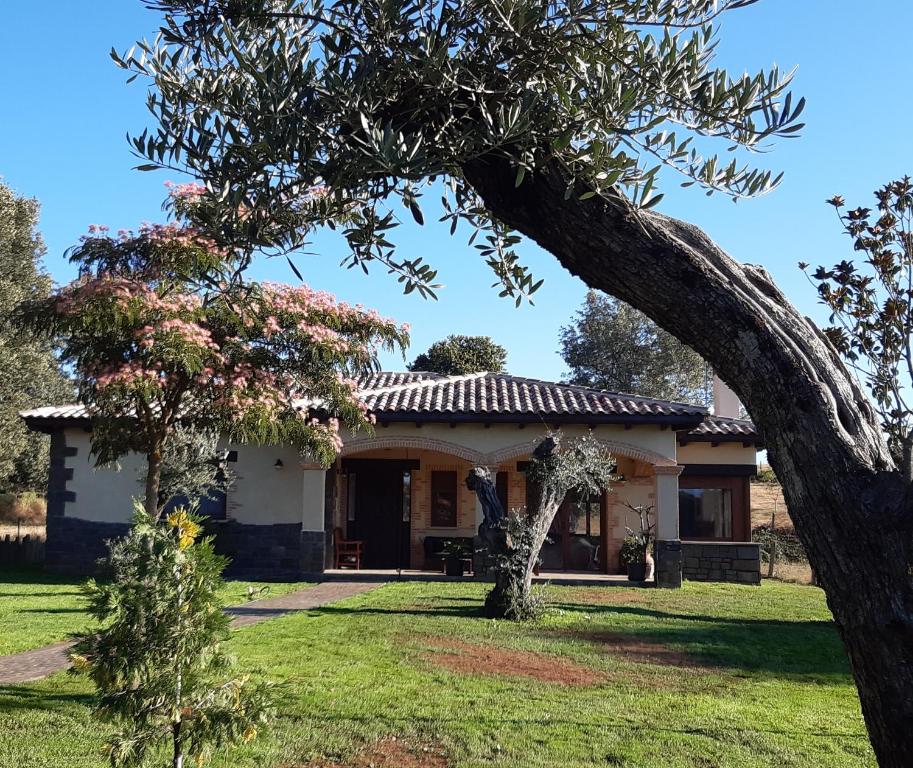 a house with a tree in front of it at Hotel Rural - La Osa Mayor - 4 Estrellas in Villasrubias
