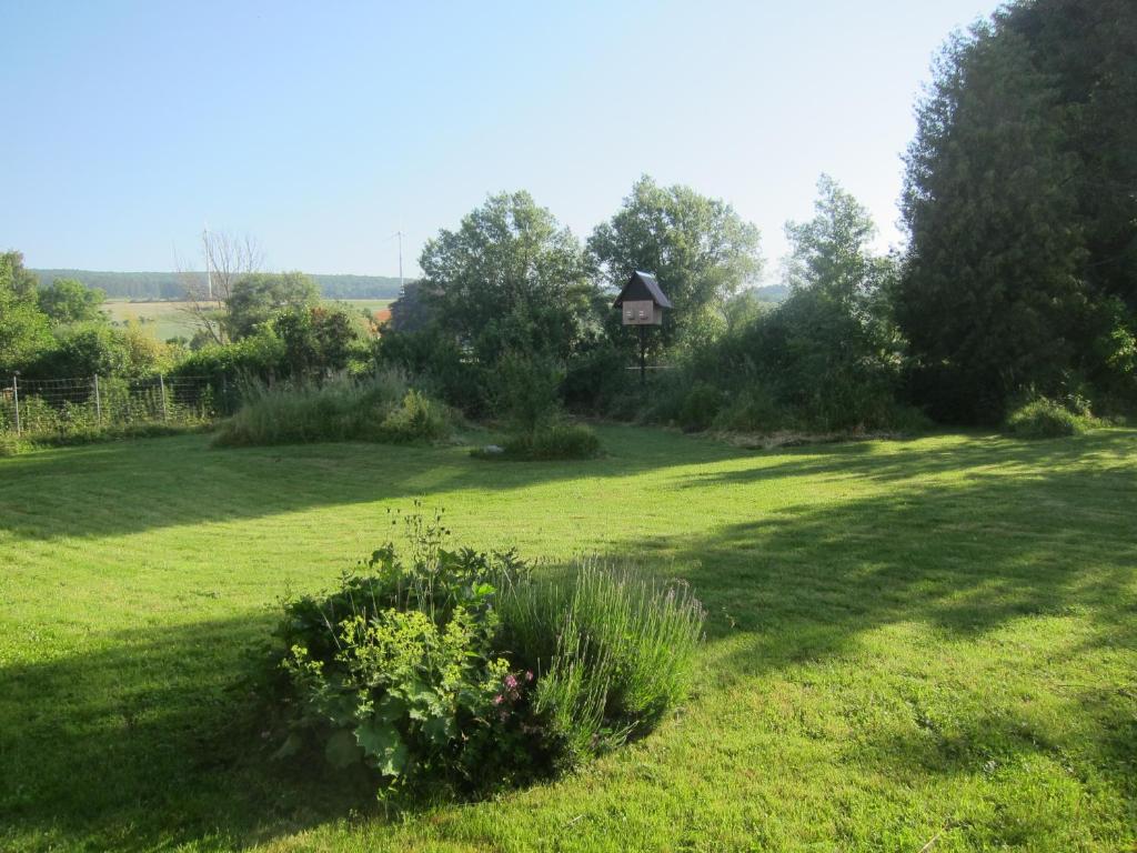 un champ d'herbe avec une maison en arrière-plan dans l'établissement Ferienhaus Zum alten Standesamt, à Weenzen