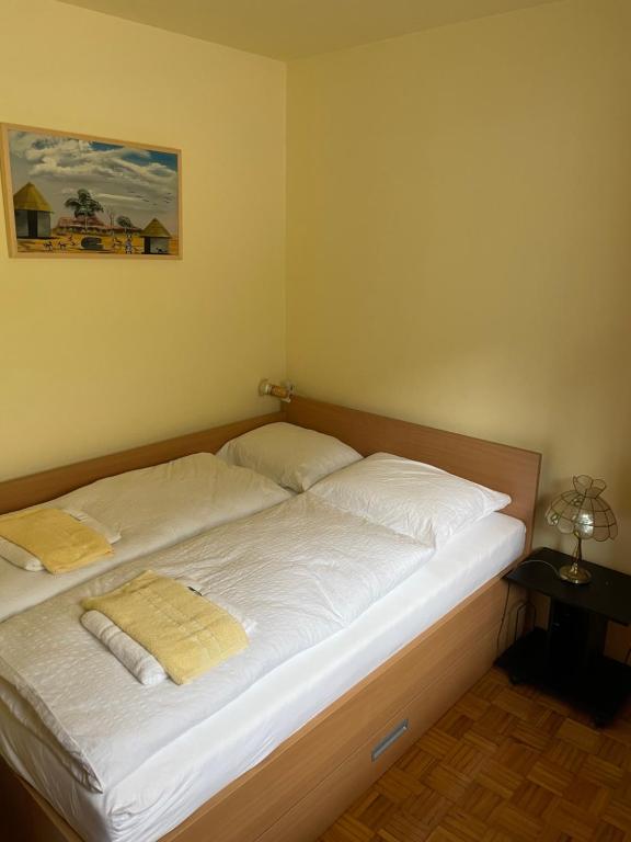 Postel nebo postele na pokoji v ubytování Retro apartments Kaninska vas