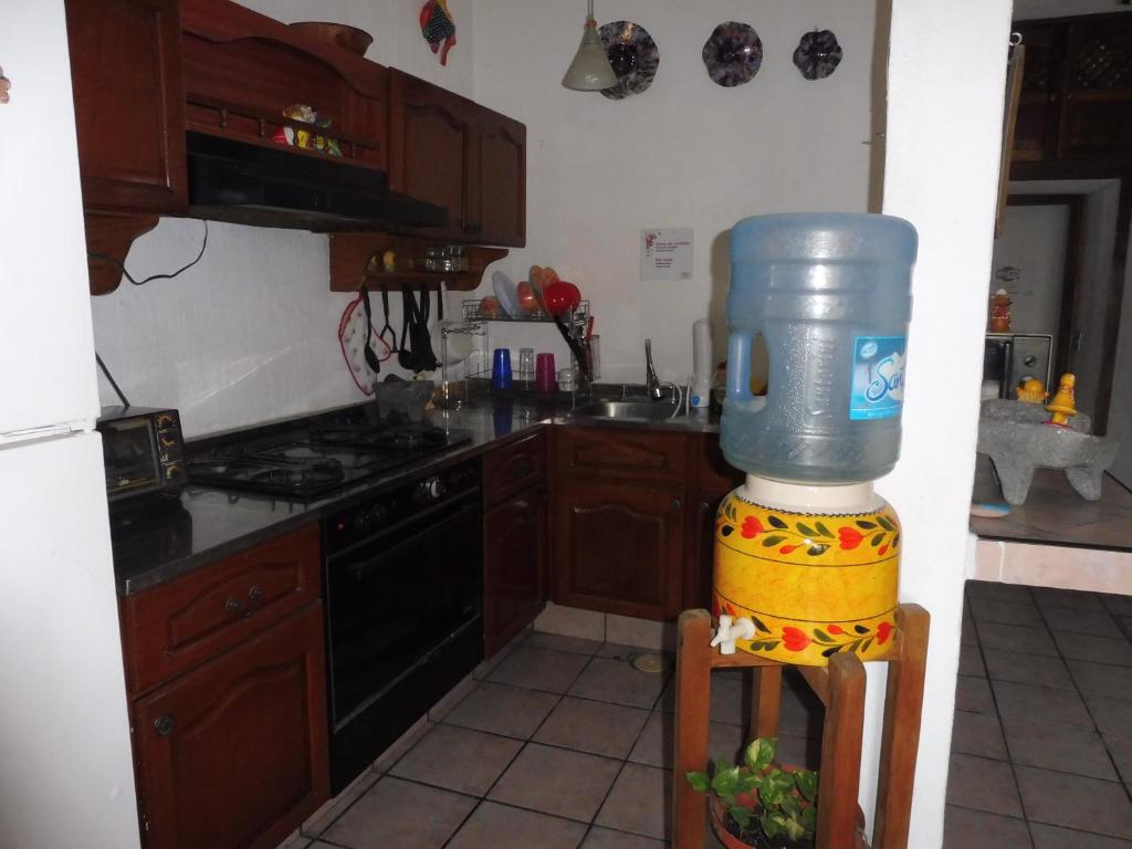 Kuchyň nebo kuchyňský kout v ubytování Posada Casa Adriana