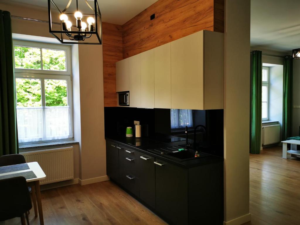 APARTAMENTY PRZY PARKU- Parking GRATIS!!! - Studio -appartement