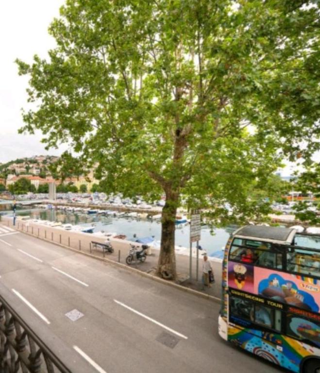 IN the CENTAR APARTMENT - 4