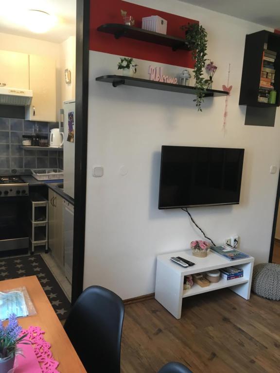 Kuchyňa alebo kuchynka v ubytovaní Apartment Panarea