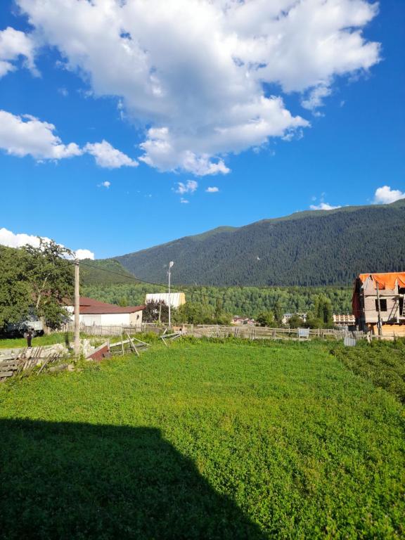 Příroda nedaleko prázdninového domu